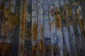 Texture of wet boards, water drops. Natural wood. Royalty Free Stock Photo