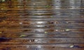 Texture of wet boards, water drops. Natural wood. Royalty Free Stock Photo