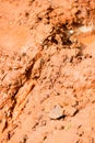 Texture of wet brown clay close up Royalty Free Stock Photo