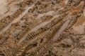 Texture of wet brown mud with bicycle tyre tracks Royalty Free Stock Photo