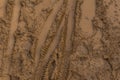 Texture of wet brown mud with bicycle tyre tracks Royalty Free Stock Photo