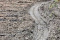 Wet brown mud with car or tractor tyre tracks Royalty Free Stock Photo