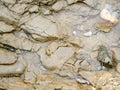 Stone texture on rock near seashore