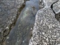 Stone texture on rock near seashore