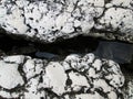 Stone texture on rock near seashore