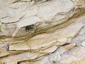 Stone texture on rock near seashore