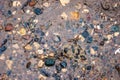 The texture of wet stones in shallow water on the sand - photo. Background