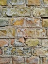 Old wall from the coloured brick. Royalty Free Stock Photo