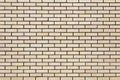 Texture of white bricks