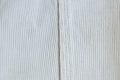 Texture white corduroy pants