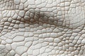 texture of white crocodile leather with seamless pattern. Genuine natural animal skin