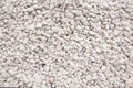 Texture of white decorative pebbles