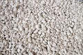 Texture of white decorative pebbles for background