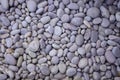 Texture of white gravel on floor use as natural background