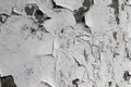 Texture of a white old wall, peeling paint Royalty Free Stock Photo