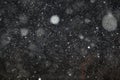 Texture of white rain drops on a black background Royalty Free Stock Photo