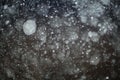 Texture of white rain drops on a black background Royalty Free Stock Photo