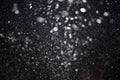 Texture of white rain drops on a black background Royalty Free Stock Photo