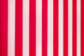 Texture of white and red stripes. Vertical blinds on window_ Royalty Free Stock Photo