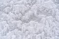 Texture of white snow on the wall outside in winter Royalty Free Stock Photo