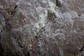Texture of wholemeal bread with white flour Royalty Free Stock Photo