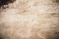 Texture wood background , basic classic wood style for deskwork Royalty Free Stock Photo