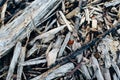 Texture of wood chips and sawdust close-up Royalty Free Stock Photo