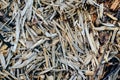 Texture of wood chips and sawdust close-up Royalty Free Stock Photo