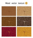 Texture of the wood cross-cut, wood texture set