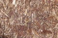 Texture of a wood particle board Royalty Free Stock Photo