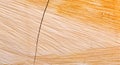 Texture of wood plank surface background Royalty Free Stock Photo