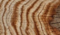 texture of the wood, Shallow depth of field