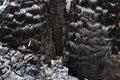 The texture of a wooden beam after a fire