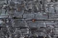 The texture of a wooden beam after a fire