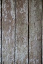 Texture of wooden boards floor