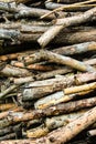 Texture of a wooden fence, natural background