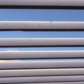 Texture of a wooden lattice roof made of parallel planks against a blue sky. Abstract urban modern background, geometric