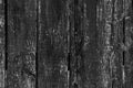 Texture of a wooden monochrome worn fence