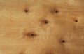 Texture of wooden plank with swirls of knots, background Royalty Free Stock Photo