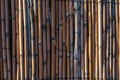 Texture of wooden rods or dry old bamboo sticks Royalty Free Stock Photo