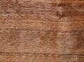 Texture of a wooden surface of an American walnut tree. Wood veneer for furnitur Royalty Free Stock Photo