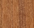 Texture of a wooden surface of an American walnut tree. Wood veneer for furnitur Royalty Free Stock Photo