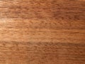 Texture of a wooden surface of an American walnut tree. Wood veneer for furnitur Royalty Free Stock Photo