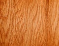 Texture of a wooden surface of an American walnut tree. Wood veneer for furnitur Royalty Free Stock Photo