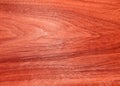 Texture of a wooden surface of a tree Australian eucalyptus. Wood veneer for furniture