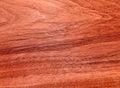 Texture of a wooden surface of a tree Australian eucalyptus. Wood veneer for furniture