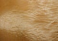 Texture of a wooden surface of a tree with a poplar root. Wood veneer for furniture