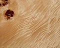 Texture of a wooden surface of a tree with a poplar root. Wood veneer for furniture