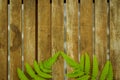 Texture of wooden table with green leaf on the corners Royalty Free Stock Photo