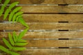 Texture of wooden table with green leaf on the corners Royalty Free Stock Photo